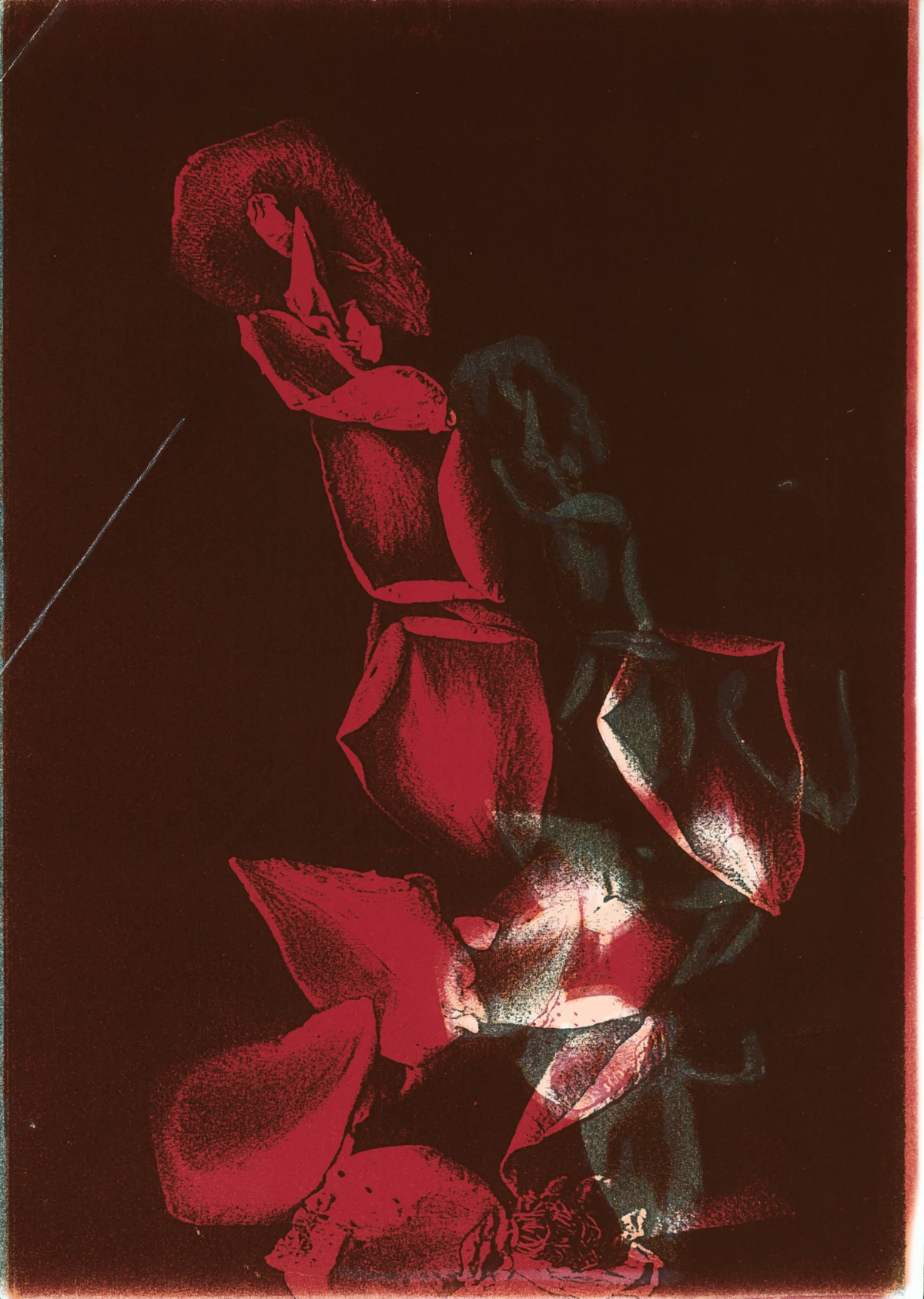 Pati Hill, Untitled (red petals), c. 1990