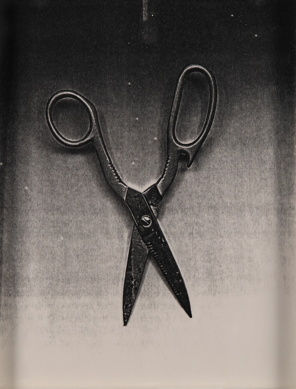 Pati Hill, Untitled (scissors), c. 1977-79