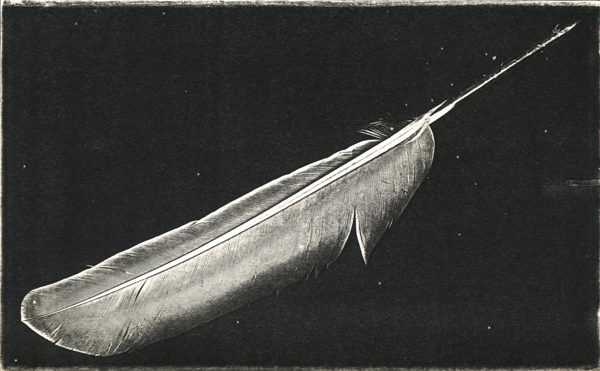 Pati Hill, Untitled (feather), c. 1977-79