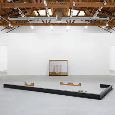 Image from Leslie Hewitt: New Waves, at Perrotin Los Angeles