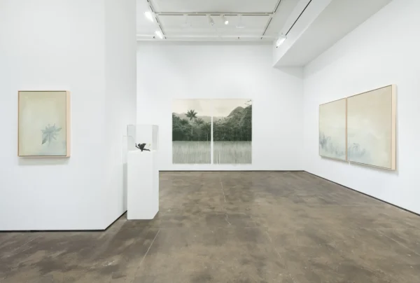 Ana González: Bruma @Sean Kelly Gallery, New York  - GalleriesNow.net 