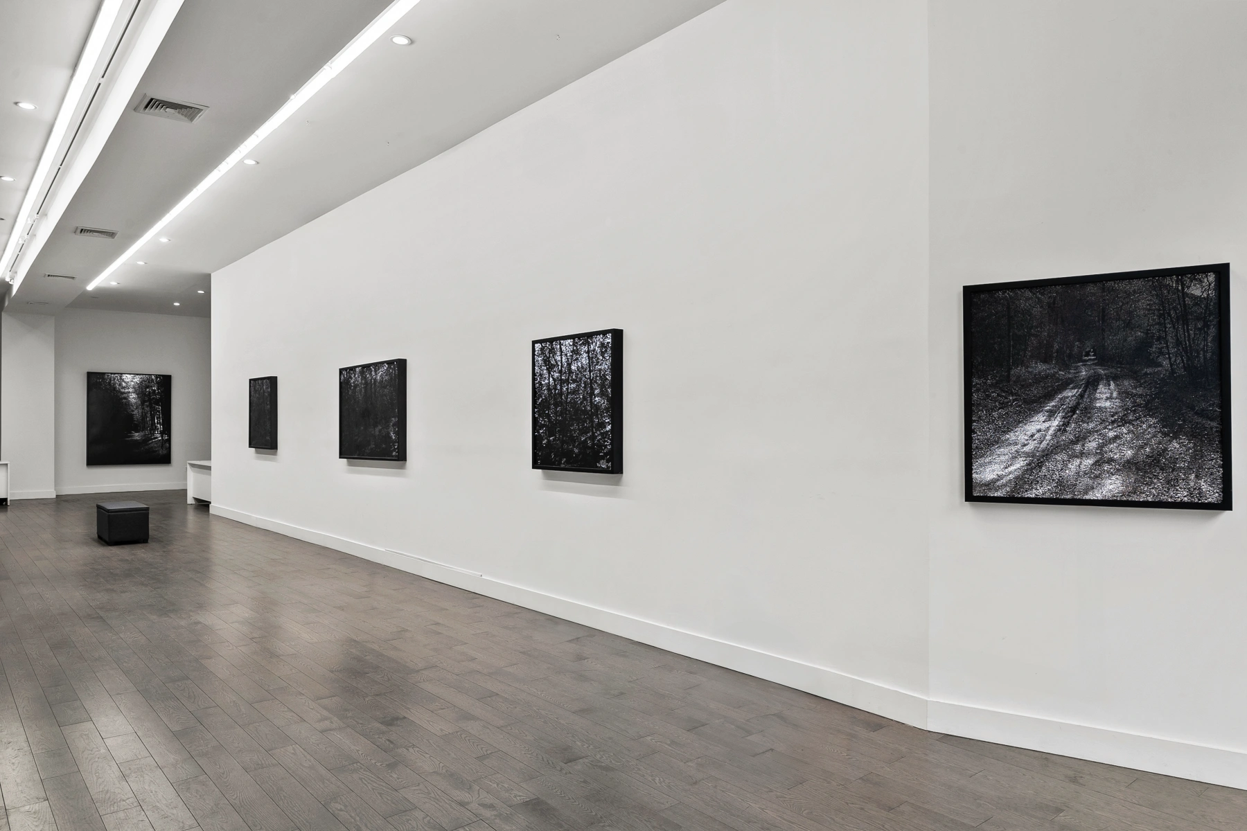 Image for Choi Soowhan: Promenades in Light, at Friedrichs Pontone