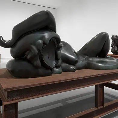 Image from Thomas Schütte: Major Sculptures, at Gagosian West 21st St