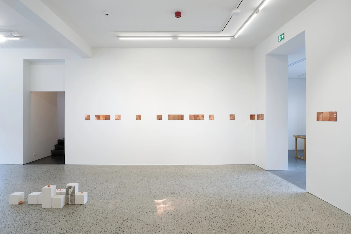 Image for Anna Júlía Friðbjörnsdóttir: ECHO LIMA, at BERG Contemporary