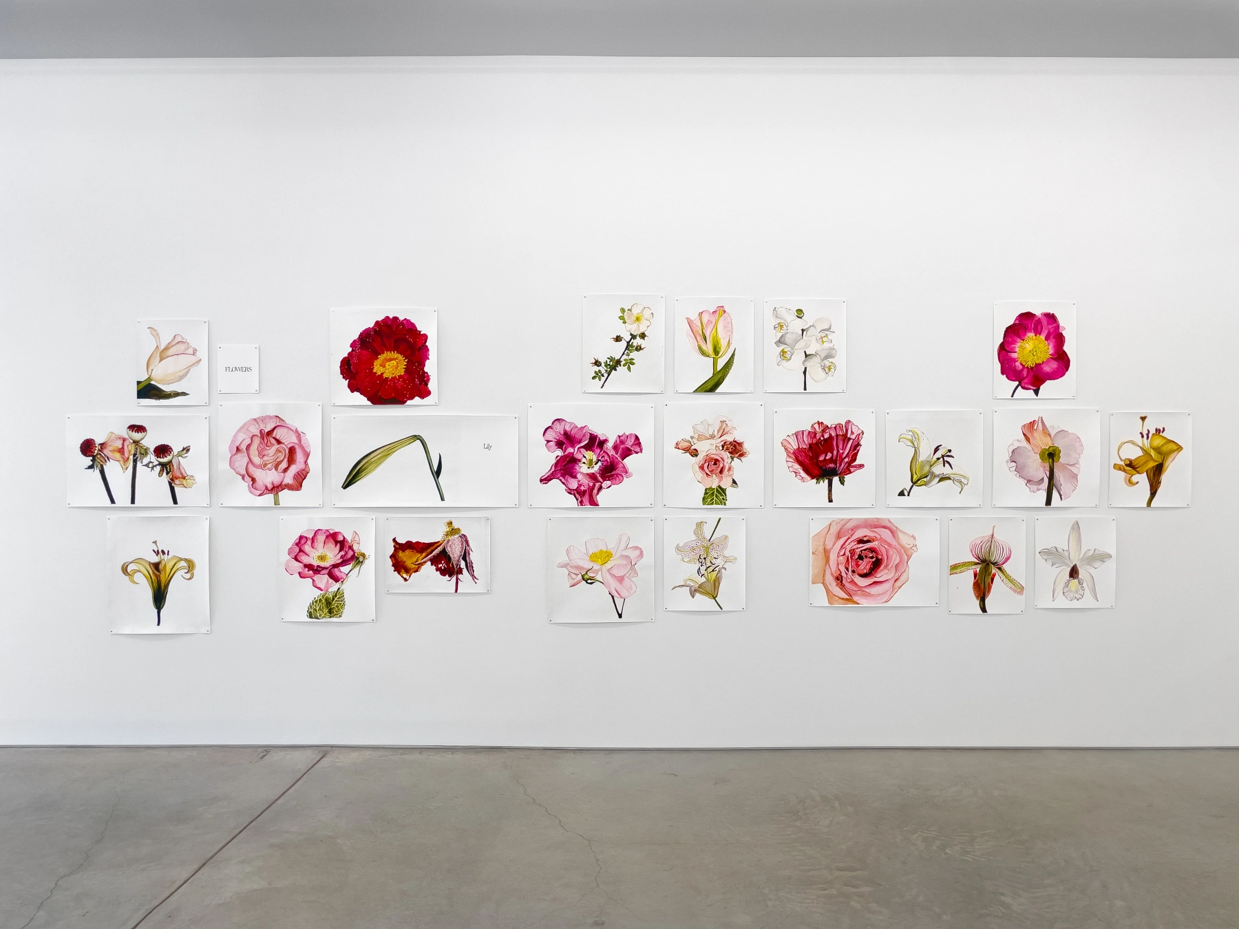 Image for Sharon Core: Facsimile, at Yancey Richardson Gallery